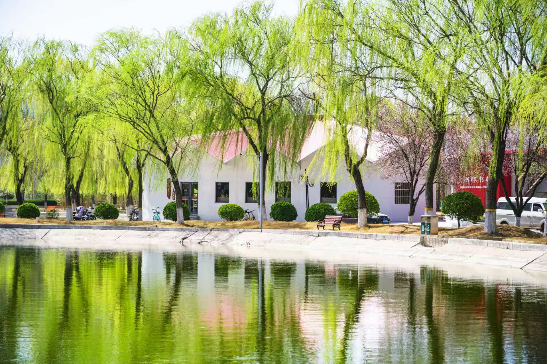 聊大讲坛：AI Agents Empowering the International Development of Local Industries（AI智能体赋能地方产业国际化发展）